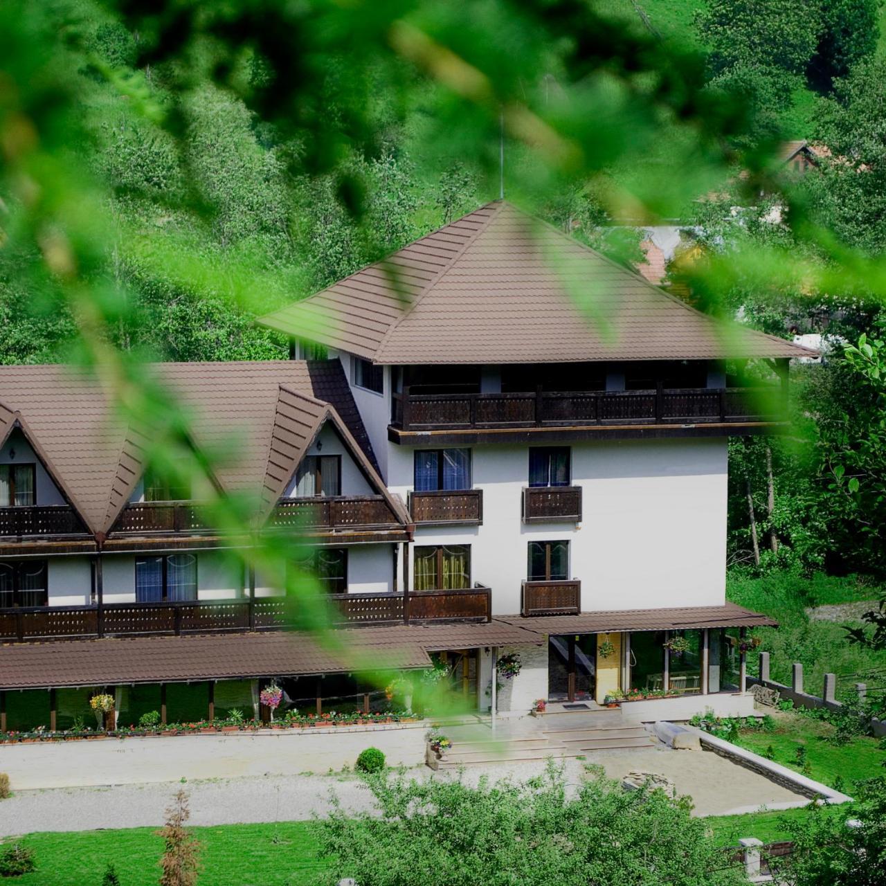 Hanul Simon Pensiune & Restaurant บราน ภายนอก รูปภาพ